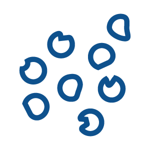 Bronco-Media-Breakdown-Icon